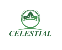 Celestial